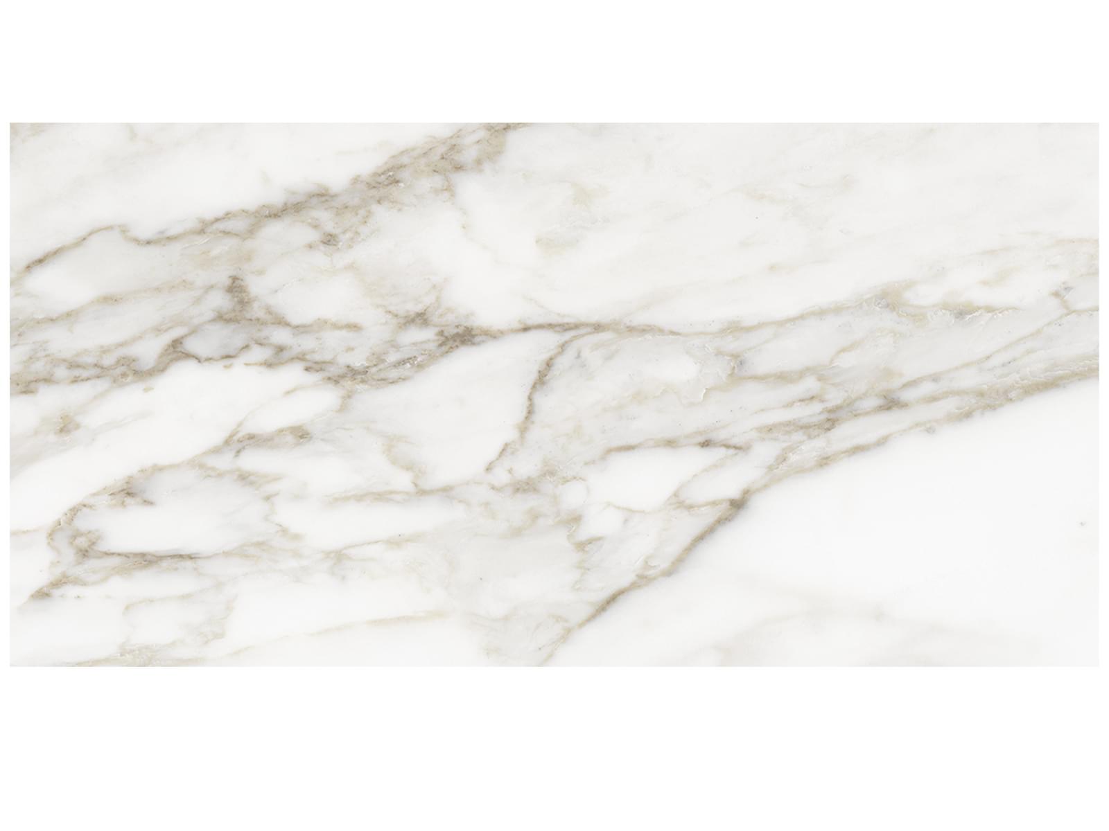 Anatolia La Marca 12" x 24" Porcelain Tile Calacatta Honed