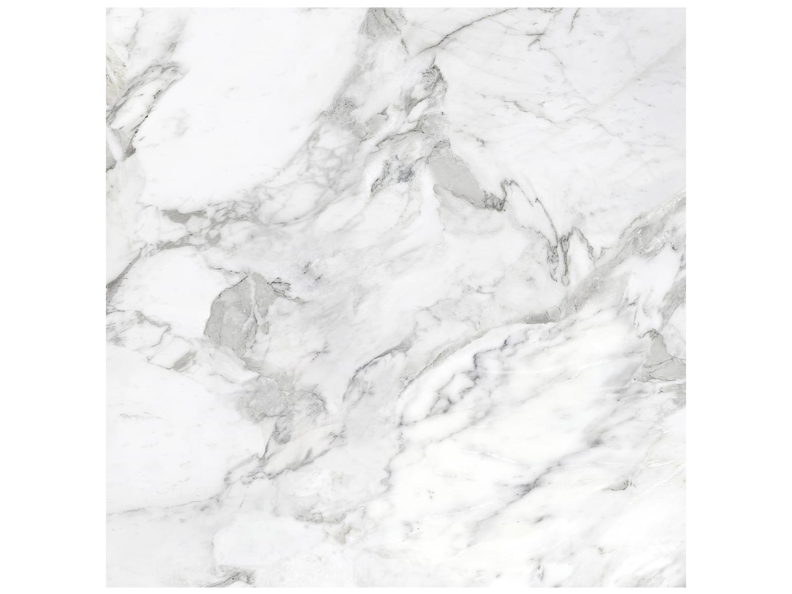 Anatolia La Marca 32" x 32" Porcelain Tile Arabescato Honed