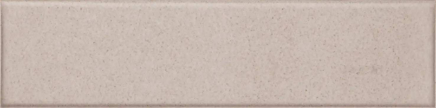 Agrob Buchtal Craft 2.5" x 10" Porcelain Tile 