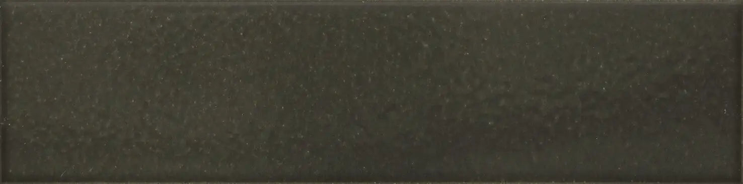 Agrob Buchtal Craft 2.5" x 10" Porcelain Tile 