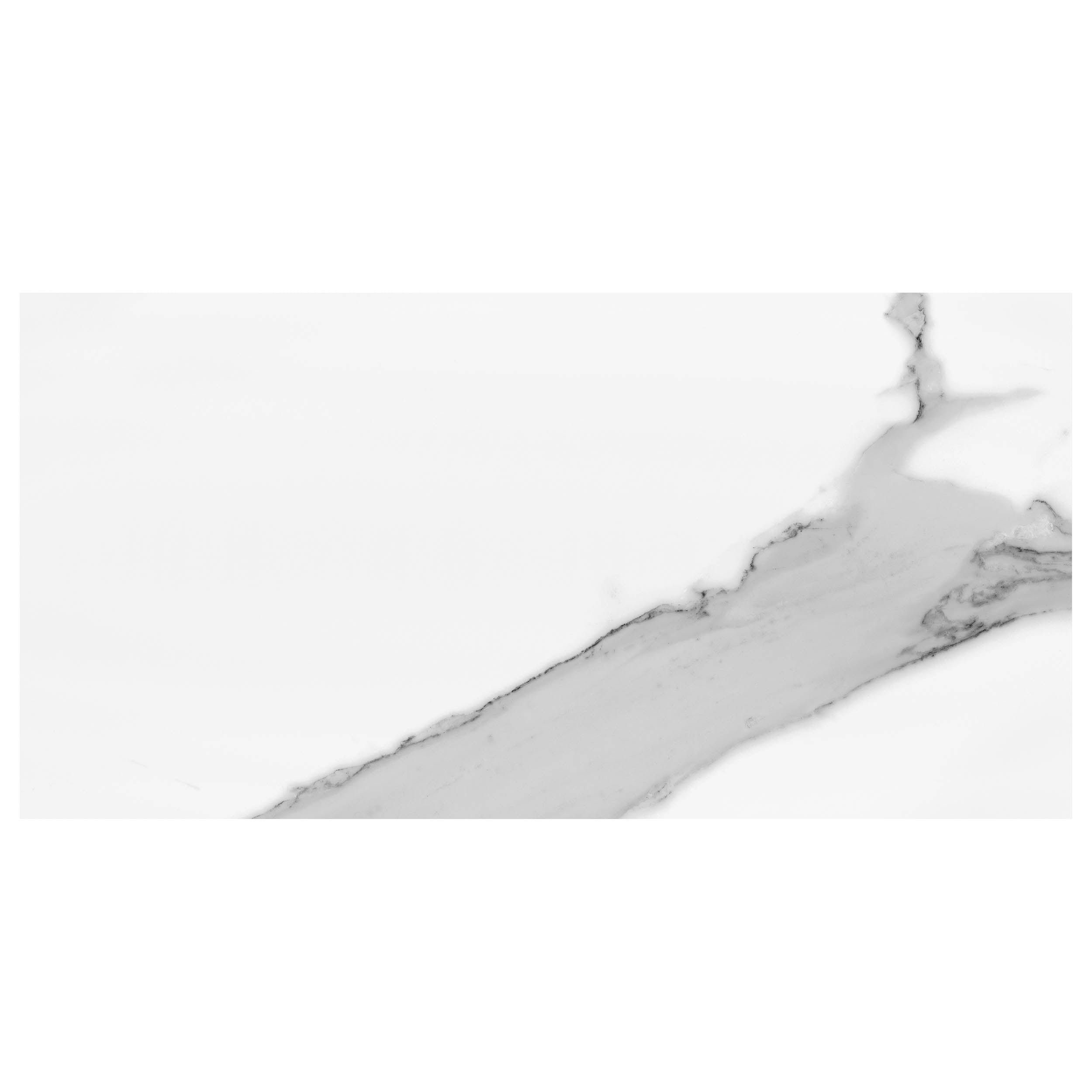 Anthology Marbleridge Reserve 12" x 24" Porcelain Tile 