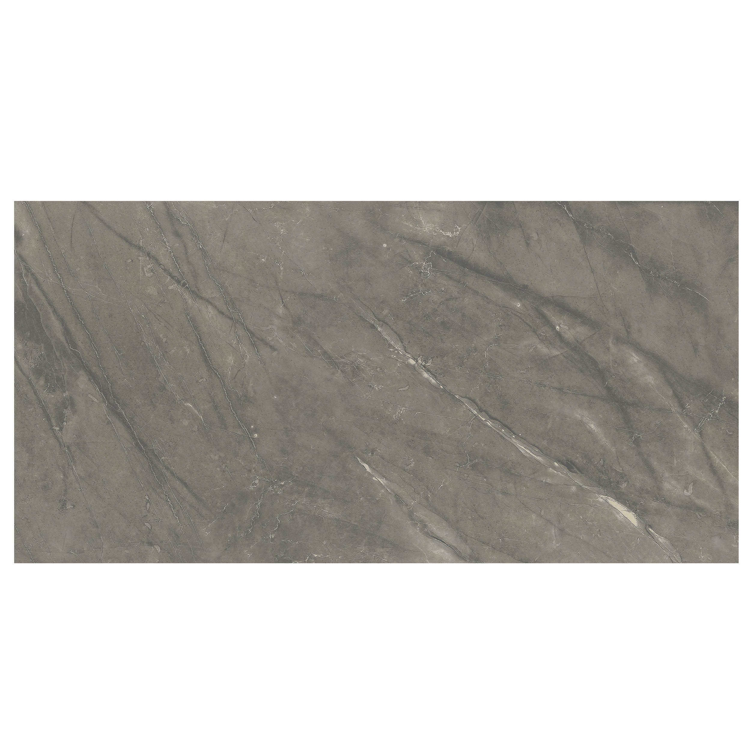 Anthology Marbleridge Reserve 12" x 24" Porcelain Tile 