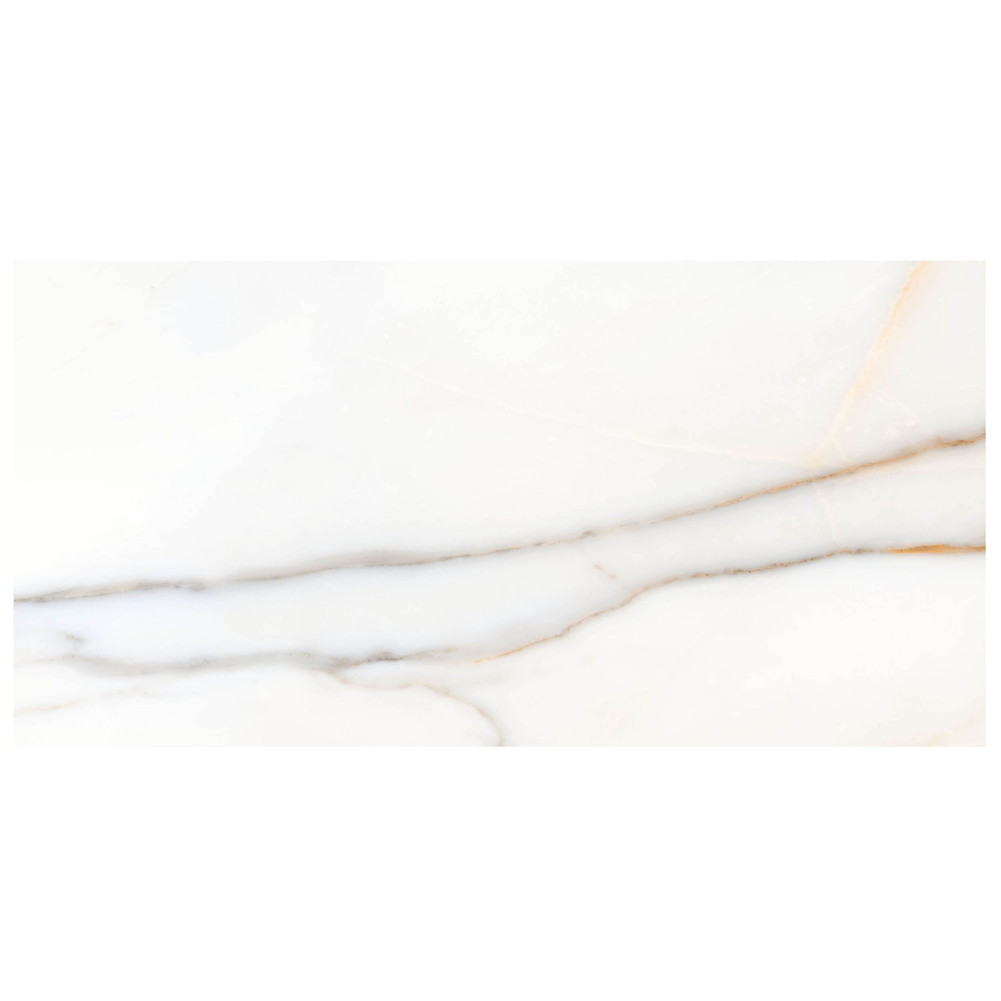 Anthology Marbleridge Reserve 12" x 24" Porcelain Tile 