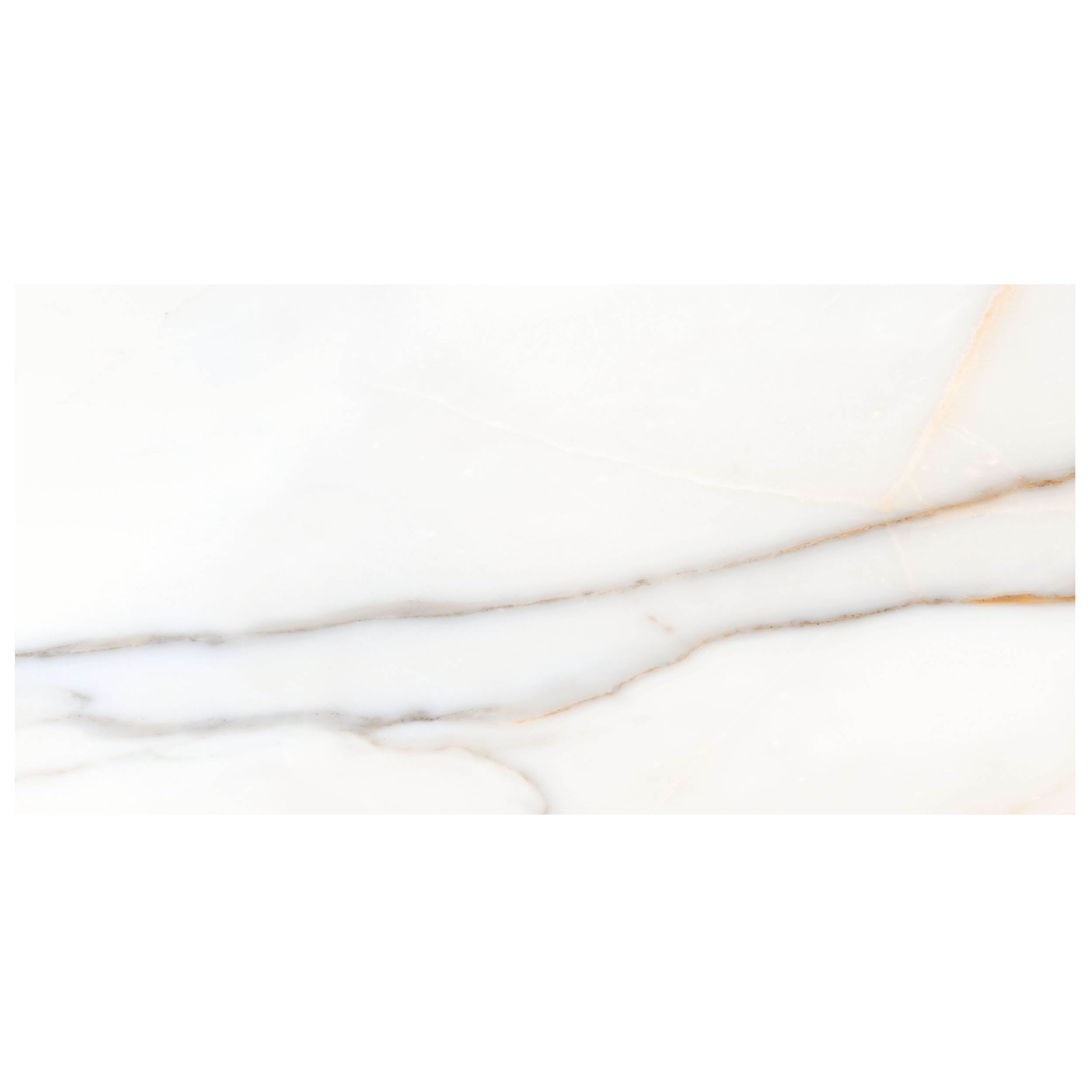 Anthology Marbleridge Reserve 12" x 24" Porcelain Tile 