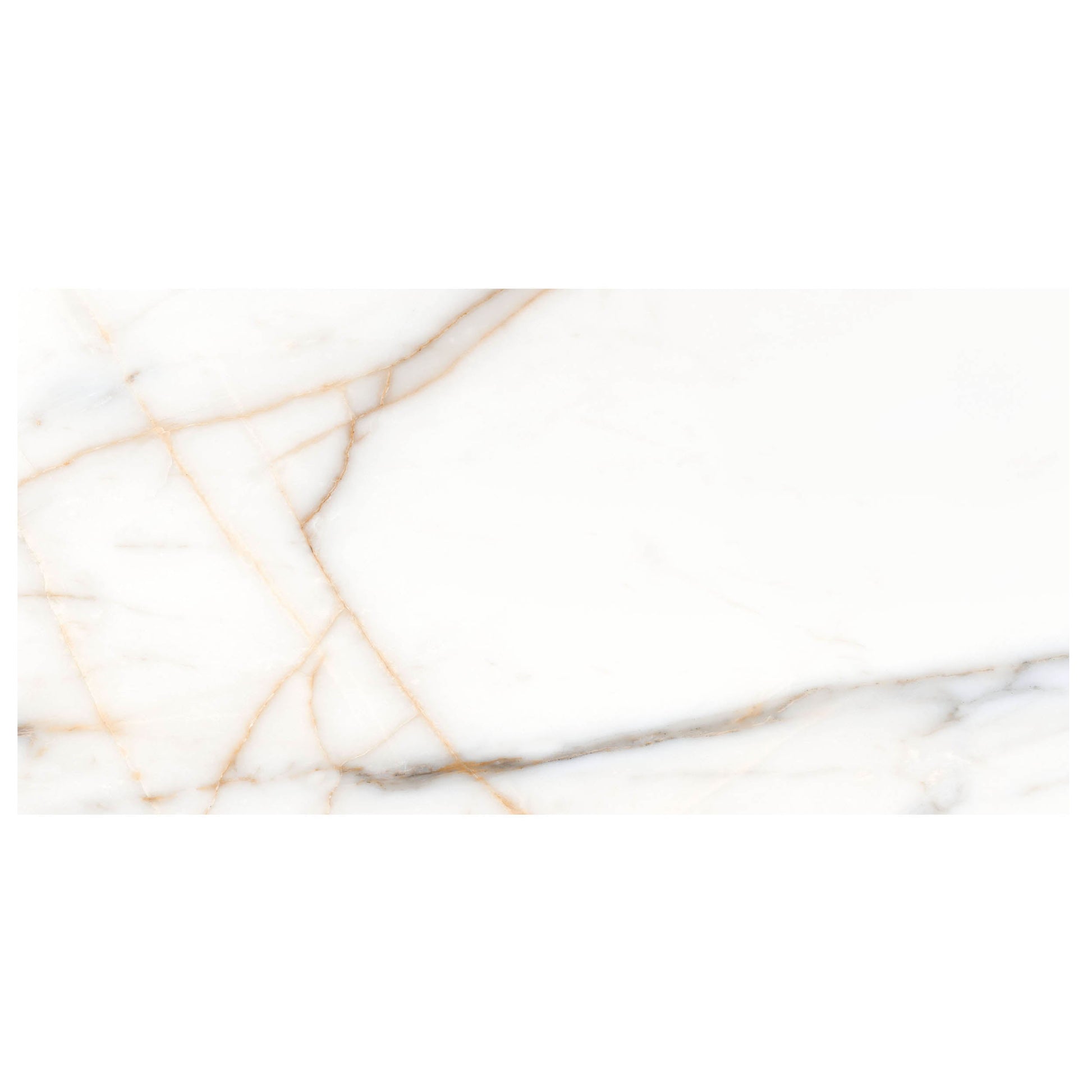 Anthology Marbleridge Reserve 12" x 24" Porcelain Tile 