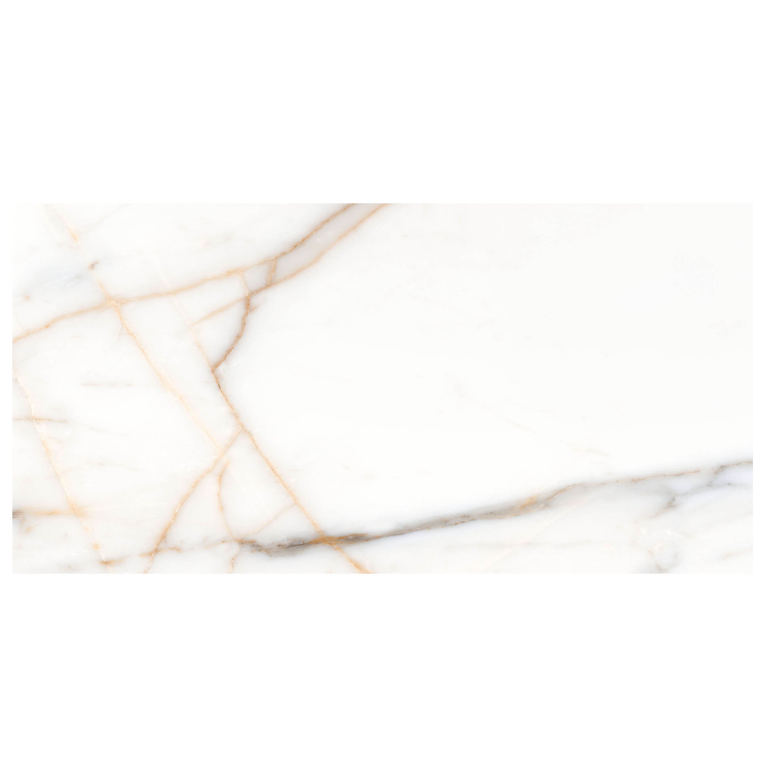 Anthology Marbleridge Reserve 12" x 24" Porcelain Tile 
