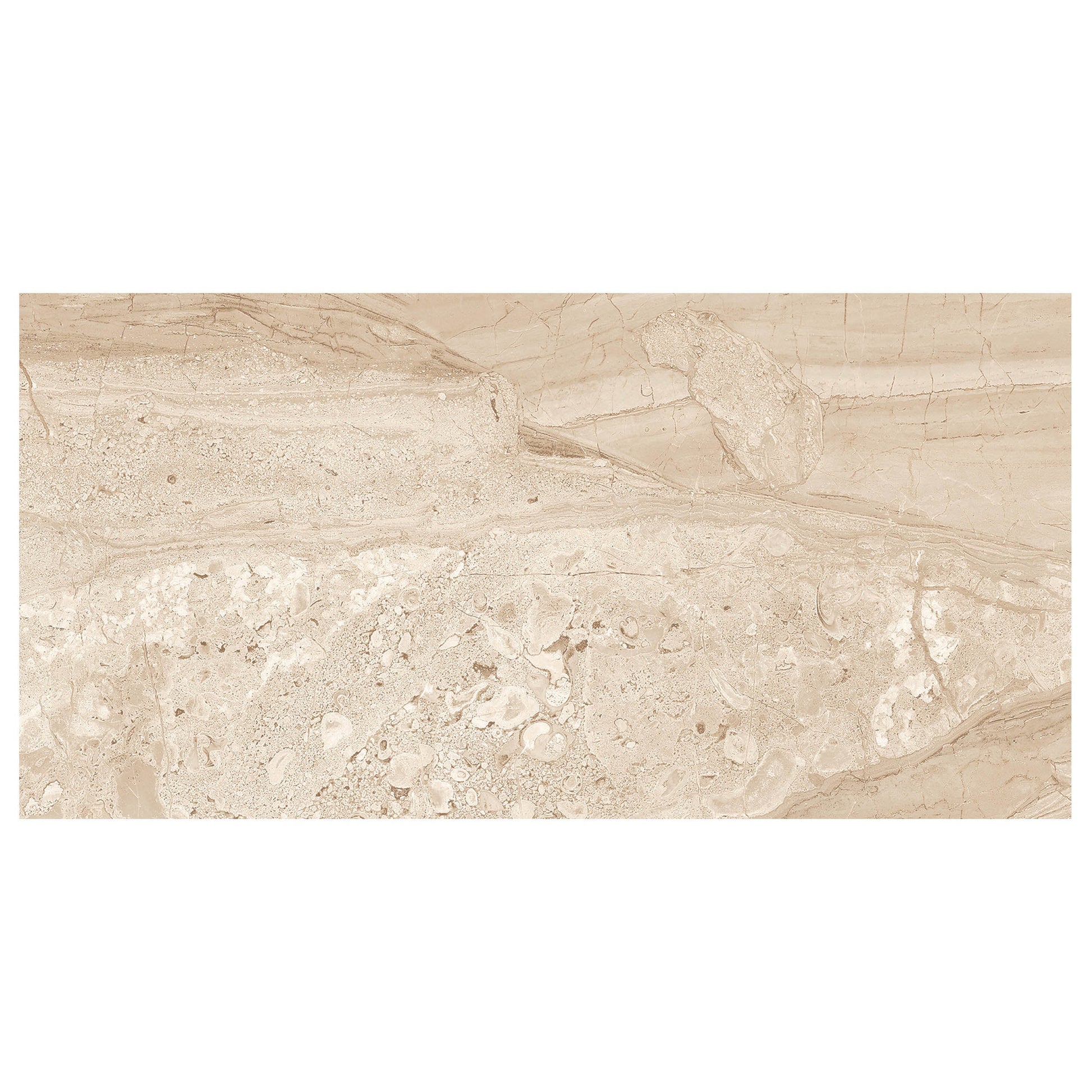 Anthology Marbleridge Reserve 12" x 24" Porcelain Tile 