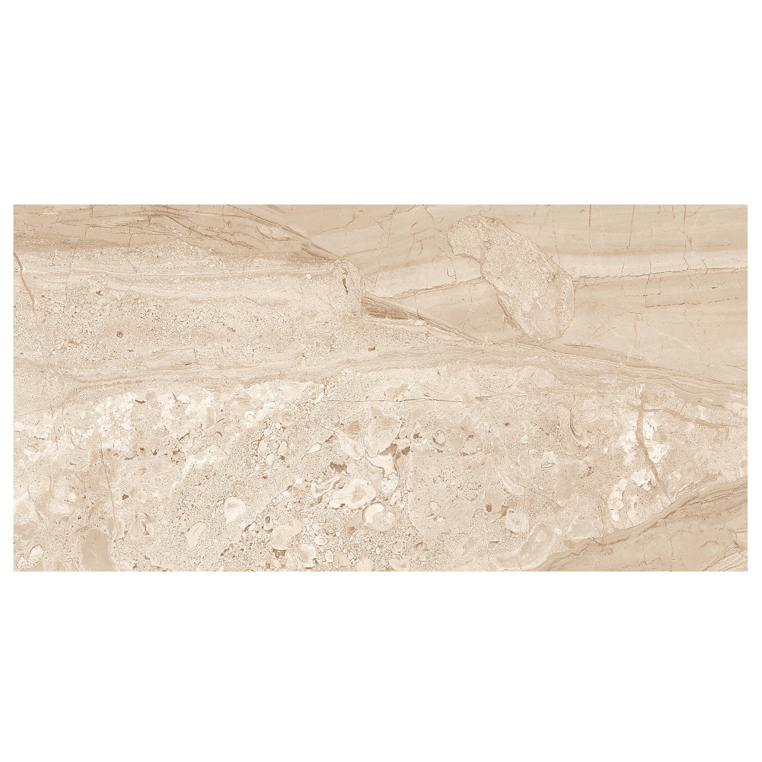 Anthology Marbleridge Reserve 12" x 24" Porcelain Tile 