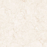 Alfagres Avila 24" x 24" Ceramic Tile