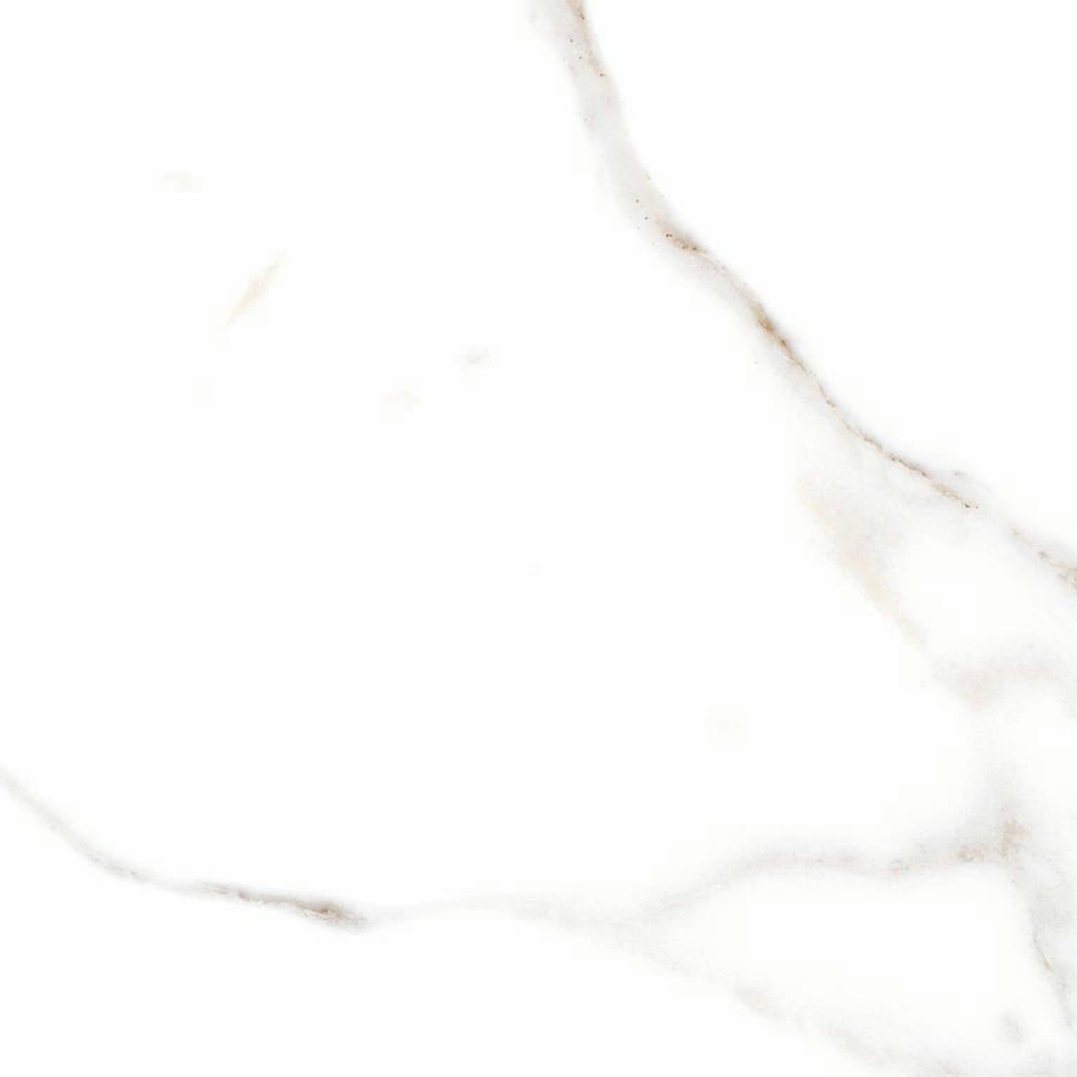 Alfagres Calacata 18" x 18" Ceramic Tile 