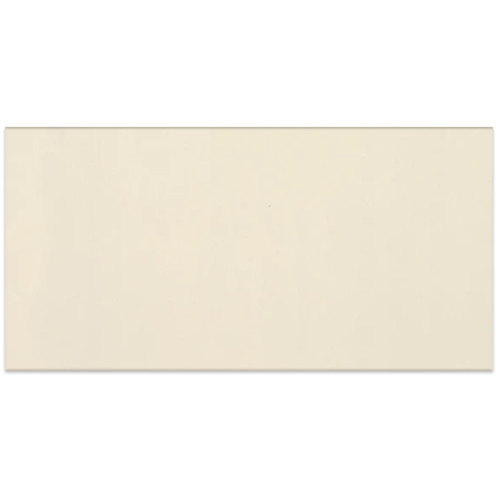 American Olean Clay Canvas 12" x 24" Porcelain Tile Paint Matte