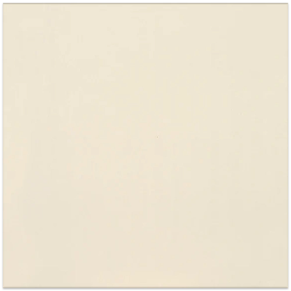 American Olean Clay Canvas 24" x 24" Porcelain Tile Paint Matte